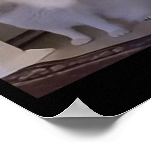 Meme Huh Cat Poster (Ecke)