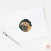 Memekatze Runder Aufkleber (Umschlag)