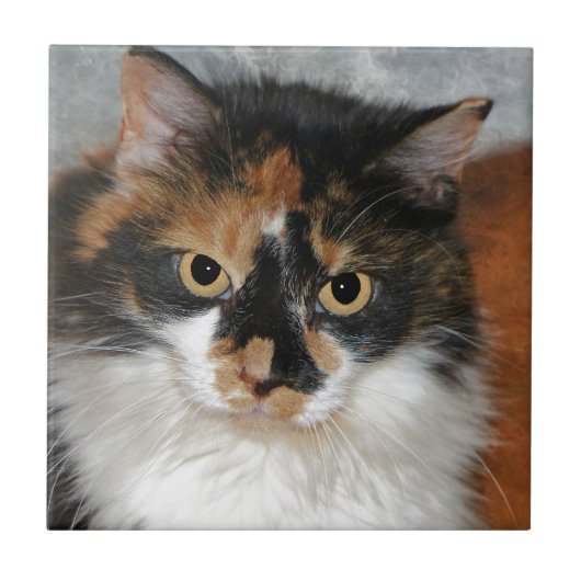 MeMeow Fliese (Vorderseite)