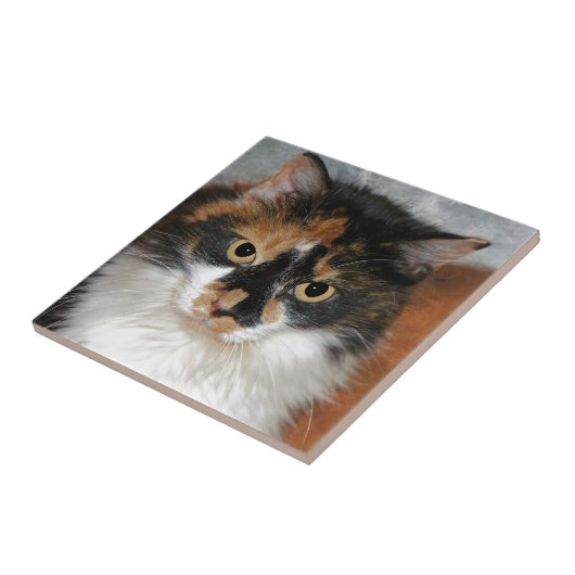 MeMeow Fliese (Seite)