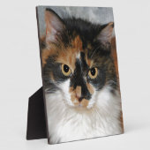 MeMeow Fotoplatte (Seite)