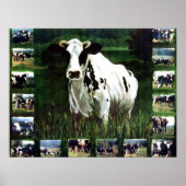 'meMOOries' Poster (Vorne)