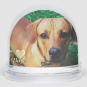 Memorandum für Personalisierte Fotos Schneekugeln (Vorderseite)