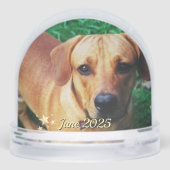 Memorandum für Personalisierte Fotos Schneekugeln (Rückseite)