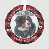 Memorandum zum Foto von Haustieren Ornament (Rückseite)