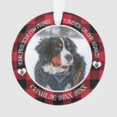 Memorandum zum Foto von Haustieren Ornament (Vorderseite)