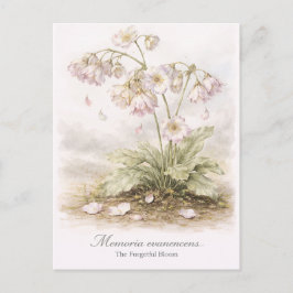 Memoria Evanescens – The Forgetful Bloom Botanical Postkarte