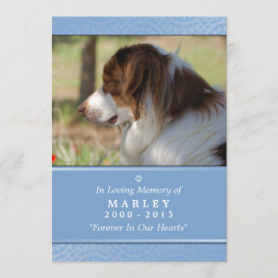 Memorial 12x18 Light Blue Contents Gedicht Programm