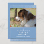 Memorial 12x18 Light Blue Rainbow Bridge (MALE) Ankündigung (Vorne/Hinten)