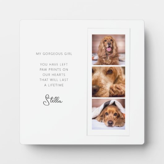 Memorial 3 zur Erinnerung an Fotocollage Fotoplatte (Vorderseite)