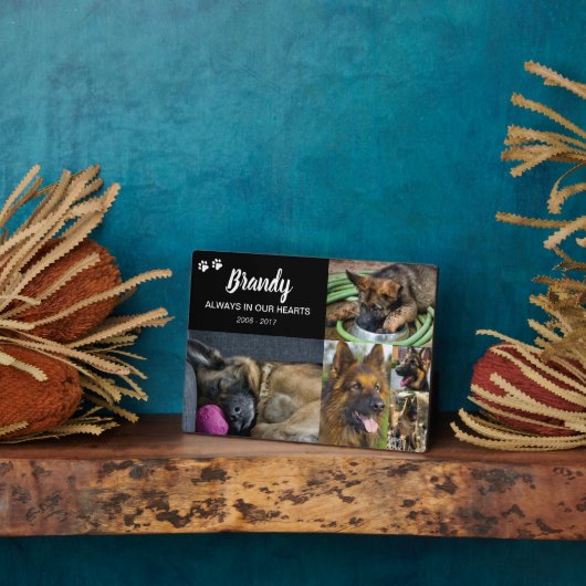 Memorial | 5 FOTO Fotoplatte (Seite)