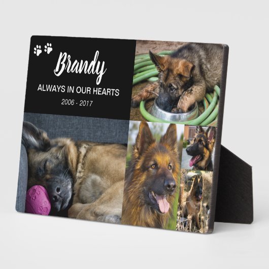 Memorial | 5 FOTO Fotoplatte (Seite)