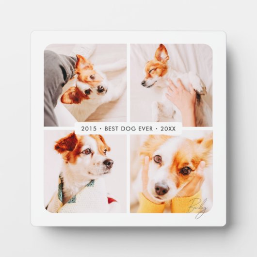 Memorial Bester Hund je Moderne Fotosammlung Fotoplatte (Vorderseite)