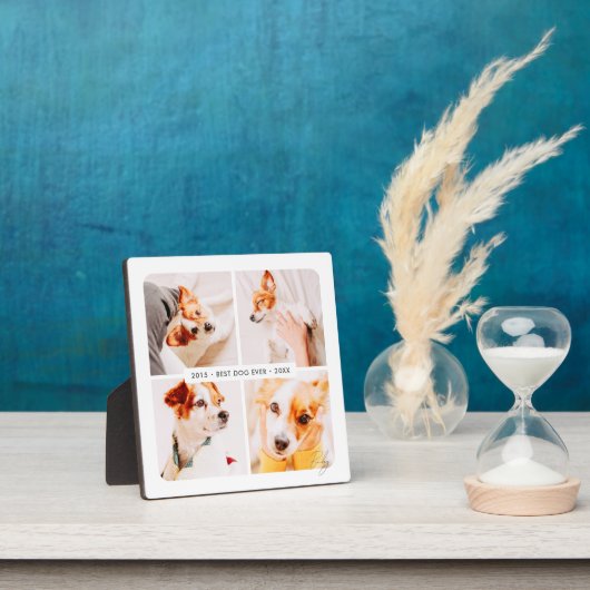 Memorial Bester Hund je Moderne Fotosammlung Fotoplatte (InSitu)