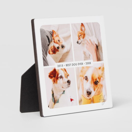 Memorial Bester Hund je Moderne Fotosammlung Fotoplatte (Vorderseite)