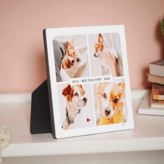 Memorial Bester Hund je Moderne Fotosammlung Fotoplatte