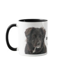 Memorial Black Lab Pet Foto Name Jahr