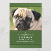 Memorial Card 5"x7" Grünes Foto - Männliche Hausti Programm (Vorderseite)