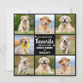 Memorial Custom 8 Foto Dog Loss Beileid Dankeskarte (Vorderseite)