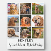 Memorial Custom 9 Foto Collage Cat Dog Fotoplatte (Vorderseite)