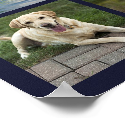 Memorial Custom Dog 12 Foto Poster (Ecke)
