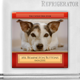 Memorial Custom Foto Magnet für Hunde oder Cat Kee