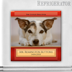 Memorial Custom Foto Magnet für Hunde oder Cat Kee