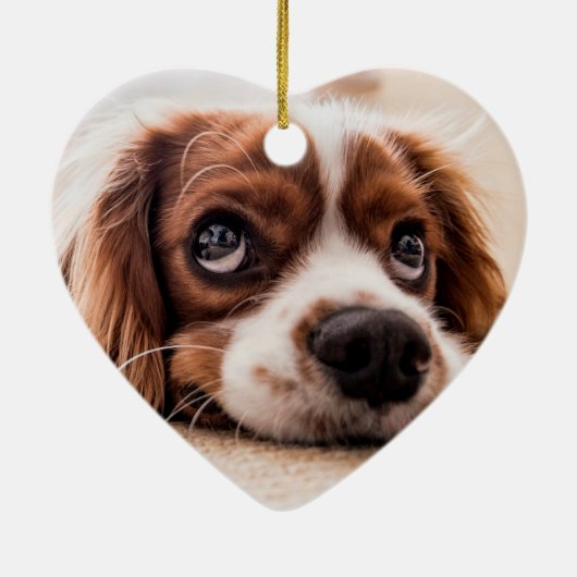 Memorial | Erstellen Sie Ihr eigenes Foto Keramik Ornament (Hinten)