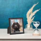 Memorial Fotoplatte (InSitu)