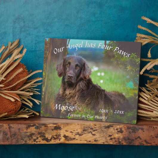 Memorial Four Paws 1017 Fotoplatte (Seite)