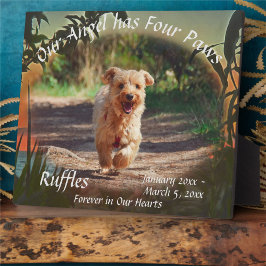 Memorial Four Paws Sunset 2009 Plaque Fotoplatte