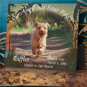 Memorial Four Paws Sunset 2009 Plaque Fotoplatte