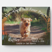 Memorial Four Paws Sunset 2009 Plaque Fotoplatte (Vorderseite)