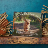 Memorial Four Paws Sunset 2009 Plaque Fotoplatte (Seite)