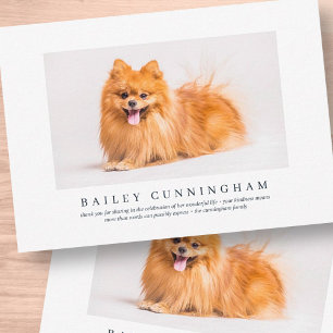 Memorial Funeral For Pet   Elegant Modern Photo Dankeskarte