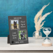 Memorial für Begleiter fehlte Jenseits des Fotos z Fotoplatte (Seite)