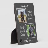 Memorial für Begleiter fehlte Jenseits des Fotos z Fotoplatte (Seite)