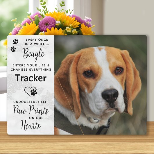 Memorial für benutzerdefinierte Foto-Beagle Fotoplatte