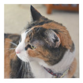 Memorial für Haustiere Benutzerdefiniert 4 Foto Würfel (Rechts)