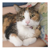 Memorial für Haustiere Benutzerdefiniert 4 Foto Würfel (Vorderseite)