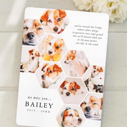 Memorial für Haustiere Moderne einfache 10 Foto Co