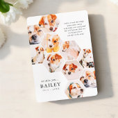 Memorial für Haustiere Moderne einfache 10 Foto Co