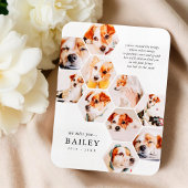 Memorial für Haustiere Moderne einfache 10 Foto Co Magnet