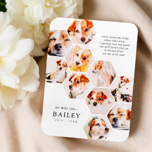 Memorial für Haustiere Moderne einfache 10 Foto Co Magnet