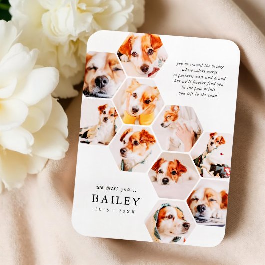 Memorial für Haustiere Moderne einfache 10 Foto Co Magnet