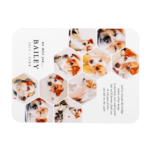 Memorial für Haustiere Moderne einfache 10 Foto Co Magnet (Horizontal)