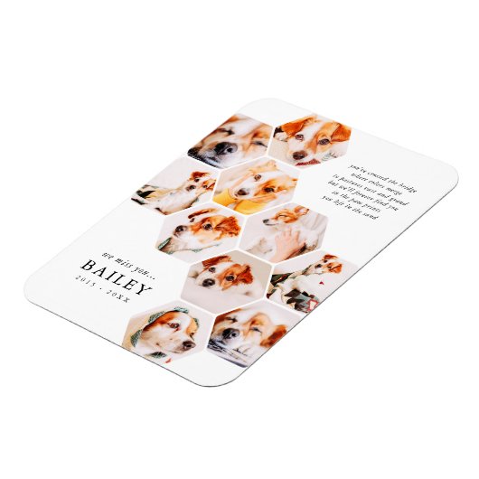 Memorial für Haustiere Moderne einfache 10 Foto Co Magnet (Linke Seite)