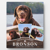 Memorial für Holzpets 4 Bildkollektion Fotoplatte (Vorderseite)