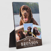 Memorial für Holzpets 4 Bildkollektion Fotoplatte (Seite)