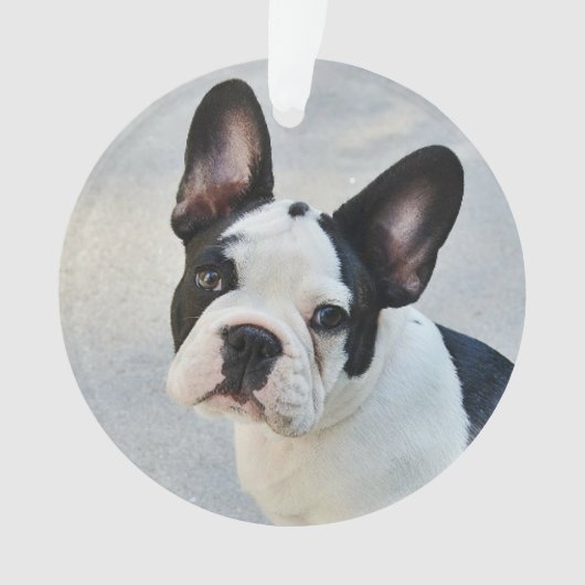 Memorial | Für immer in unserem Herz Ornament (Vorderseite)